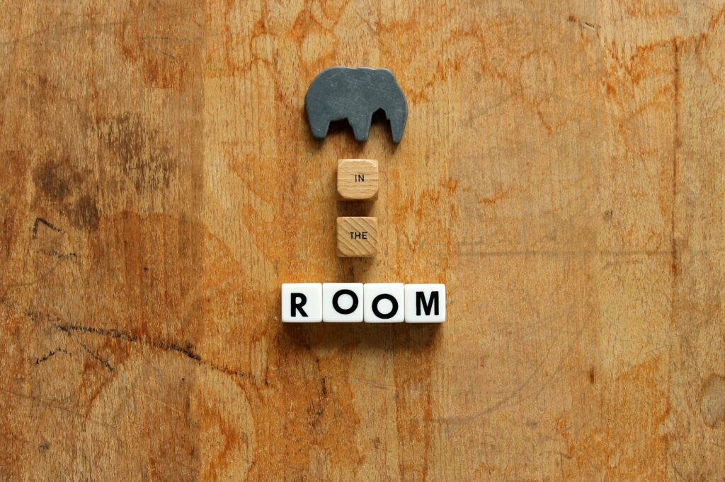 Elephant in the room concept